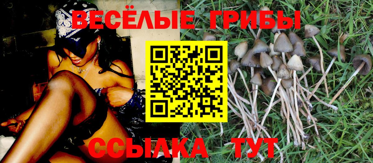 Галлюциногенные грибы мухоморы  Вход с VPN  Туймазы 